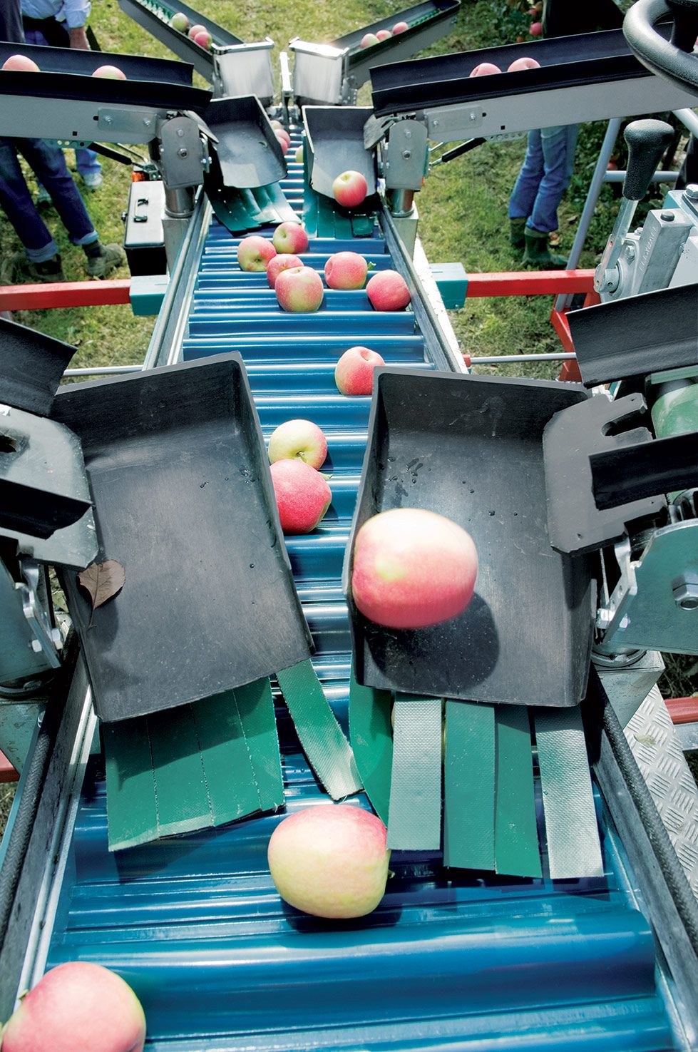 Tecnofruit Harvesting Machine