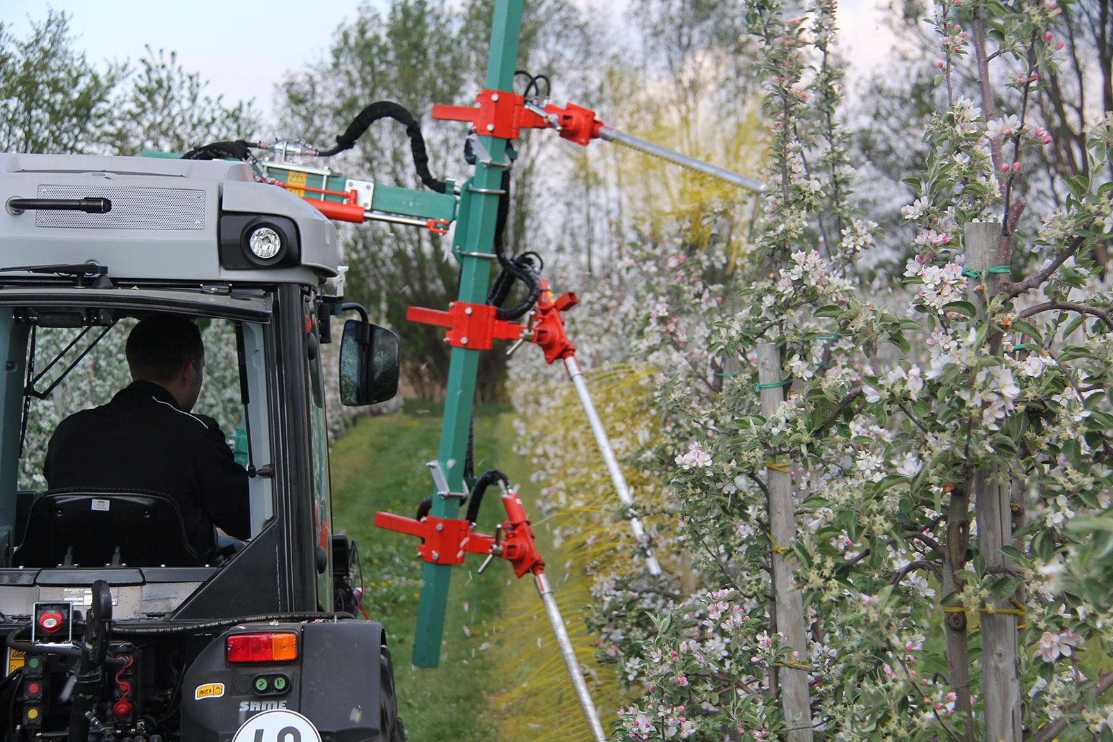 Clemens Blossom Thinner