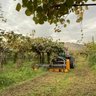 Orizzonti Mix/ Rev Flail Mower