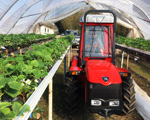 TN 5800 with Modified Narrow Cab