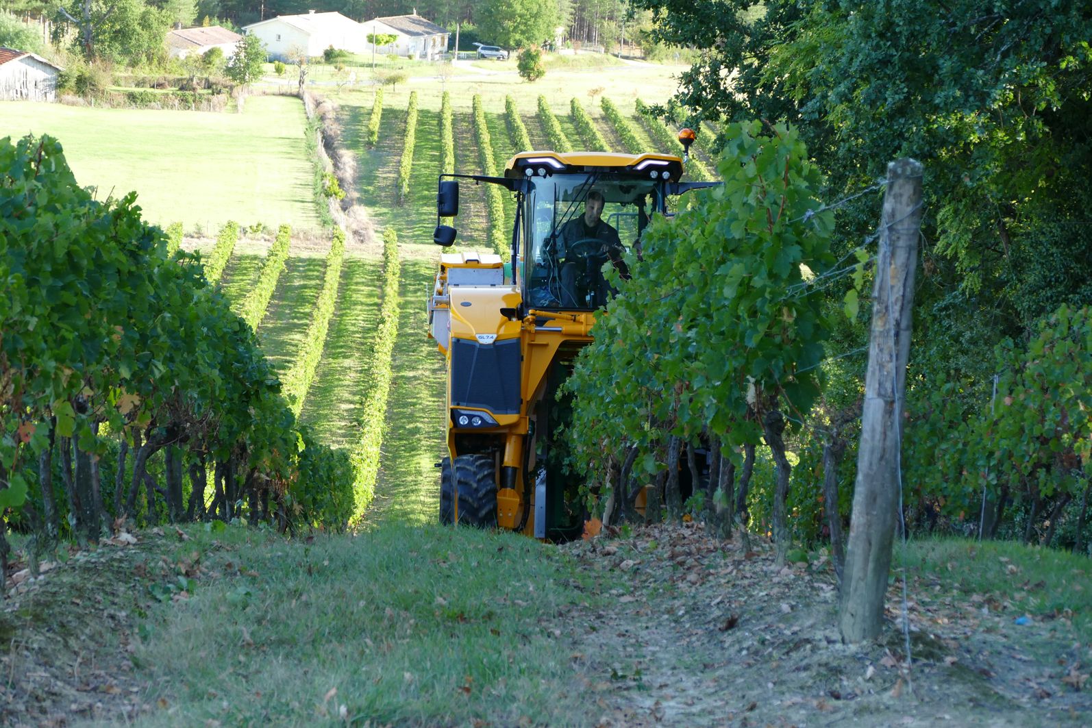 GL7 Grape Harvester
