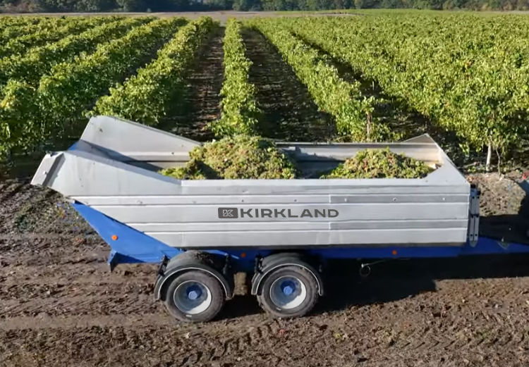 grape trailers for harvest at kirkland uk 