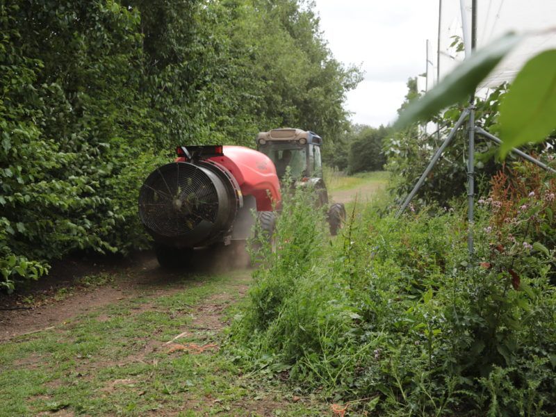 Kirkland Single Fan Sprayer