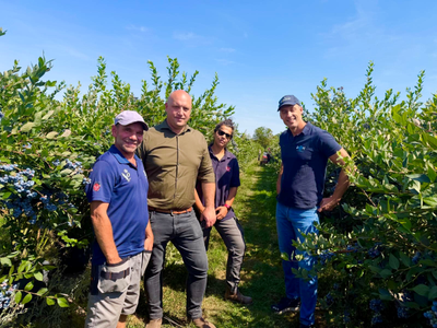 Scott Worsley from Kirkland UK demonstration of the Air Berry Harvester with UK Buleberry Growers
