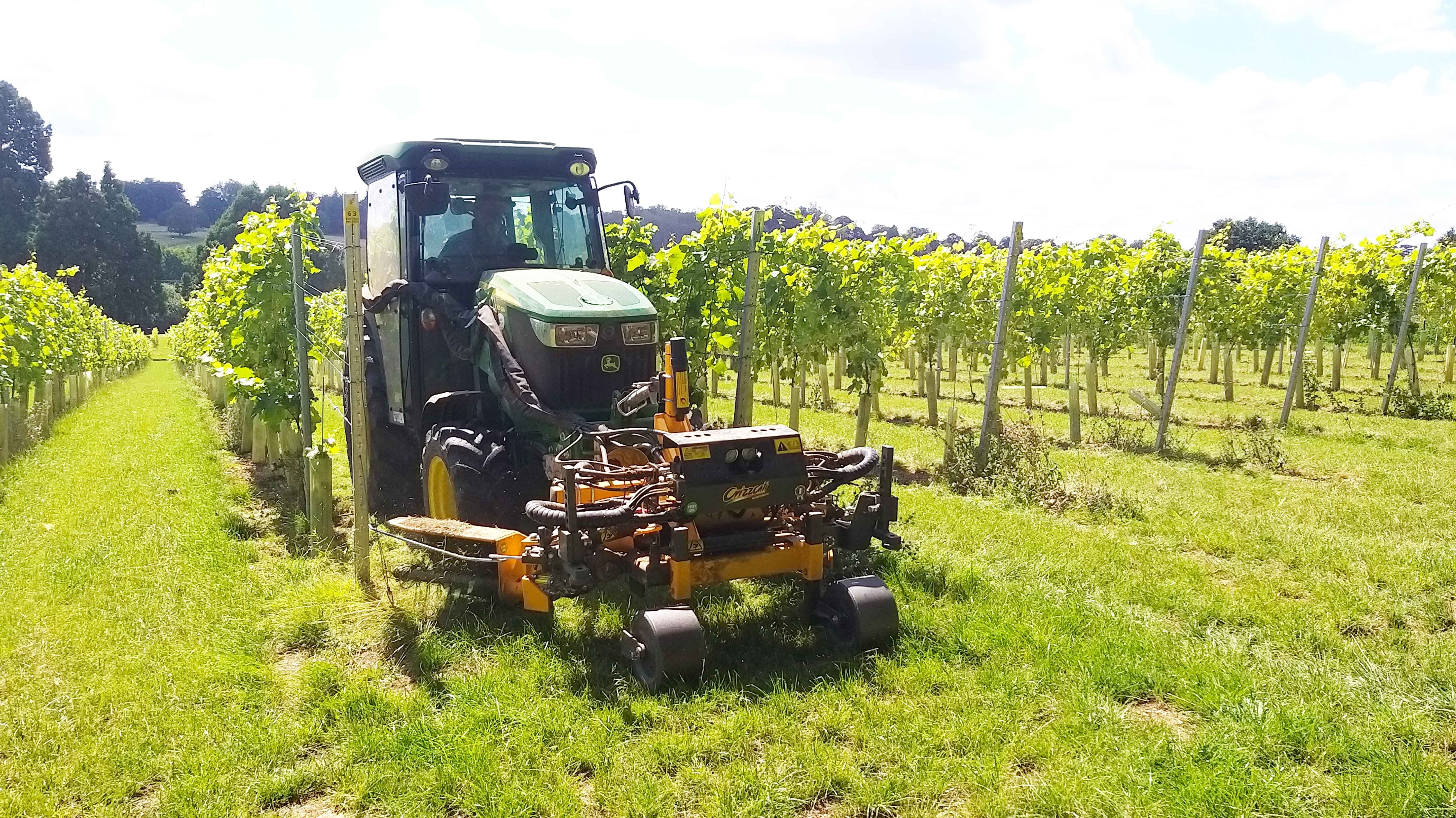Orizzonti Energy Dual at UK Vineyard