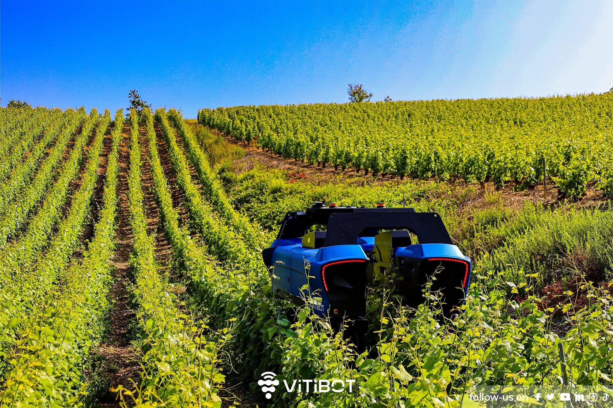 ViTiBOT 