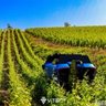 Vitibot Bakus P75S Vineyard Robot Kirkland UK