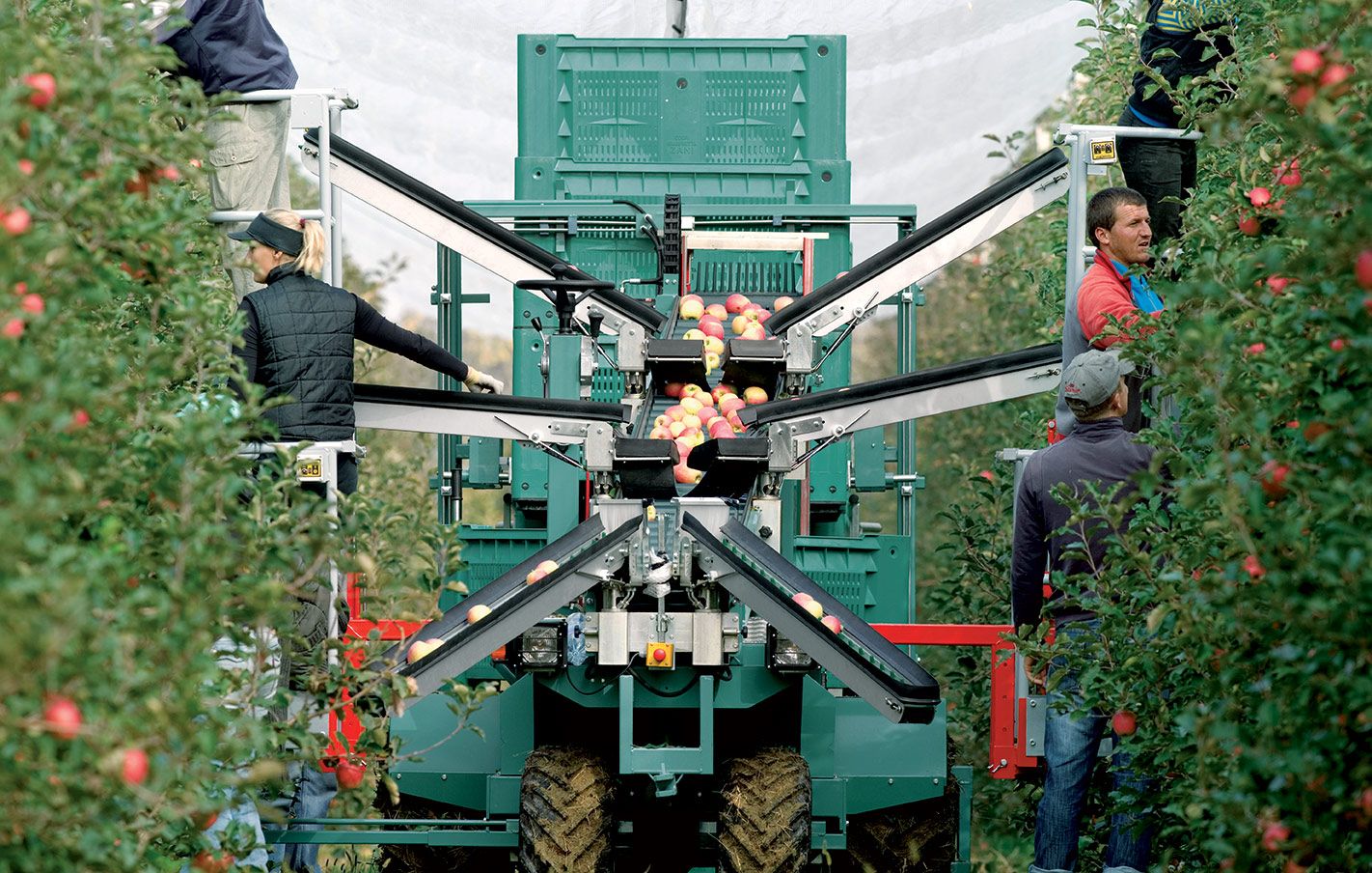 Tecnofruit Harvesting Machine