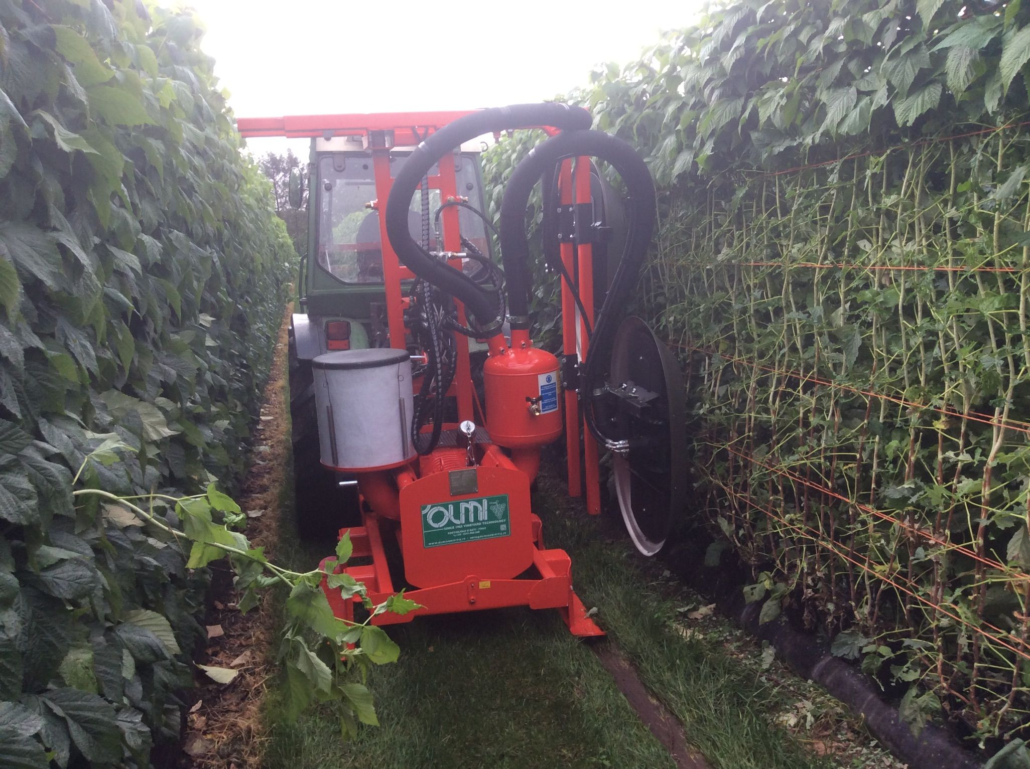 de-leafer for raspberries kirkland uk