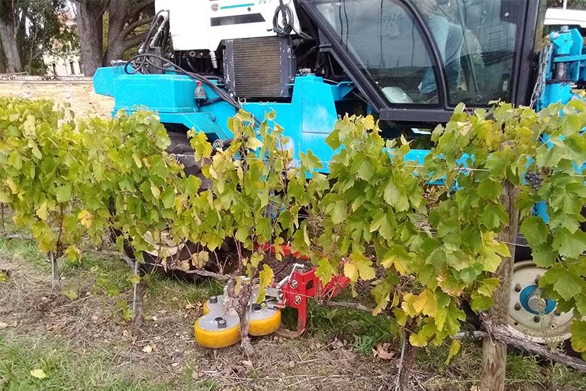 Clover Leaf Intervine Mower