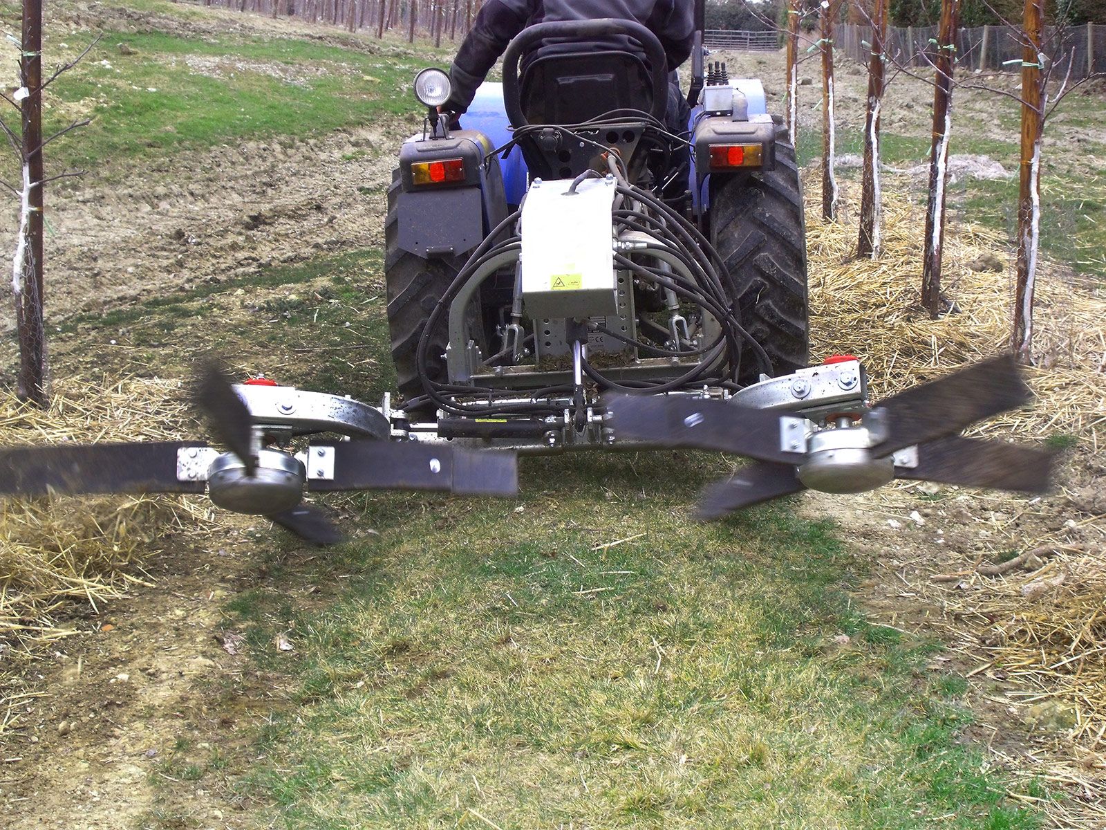 Kirkland Pruning Sweep