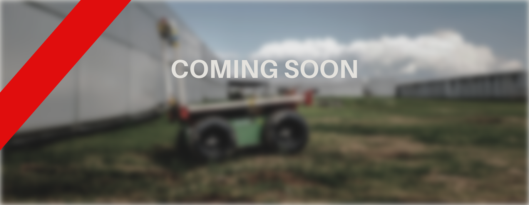 Fruit Focus Exclusive!