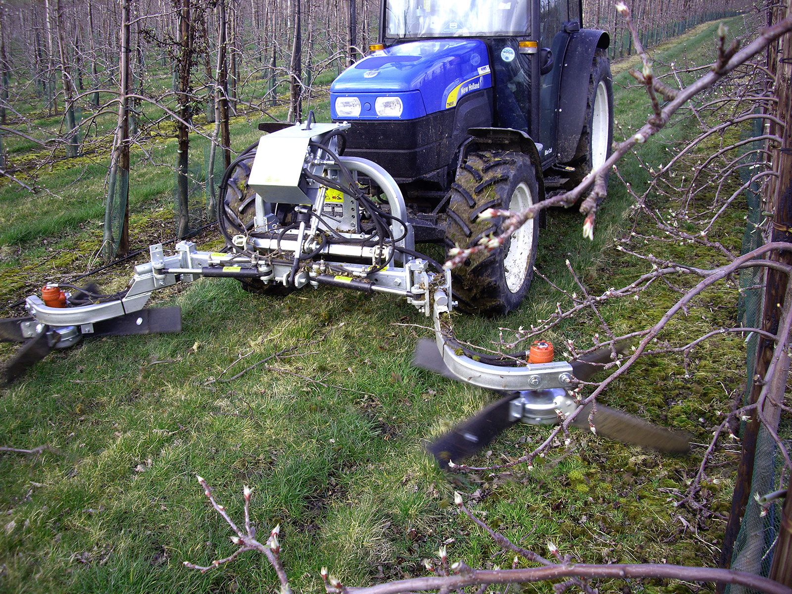 Kirkland Pruning Sweep