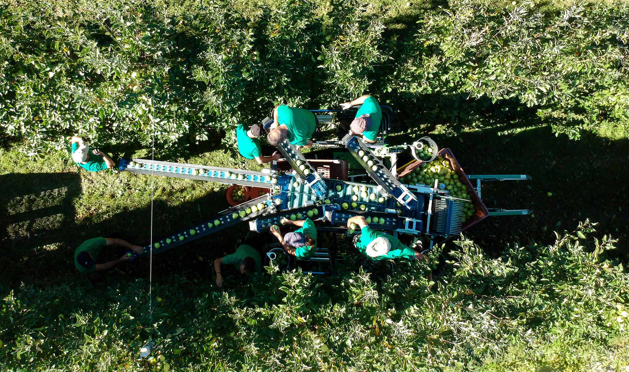 Electric Harvester Kirkland UK 2