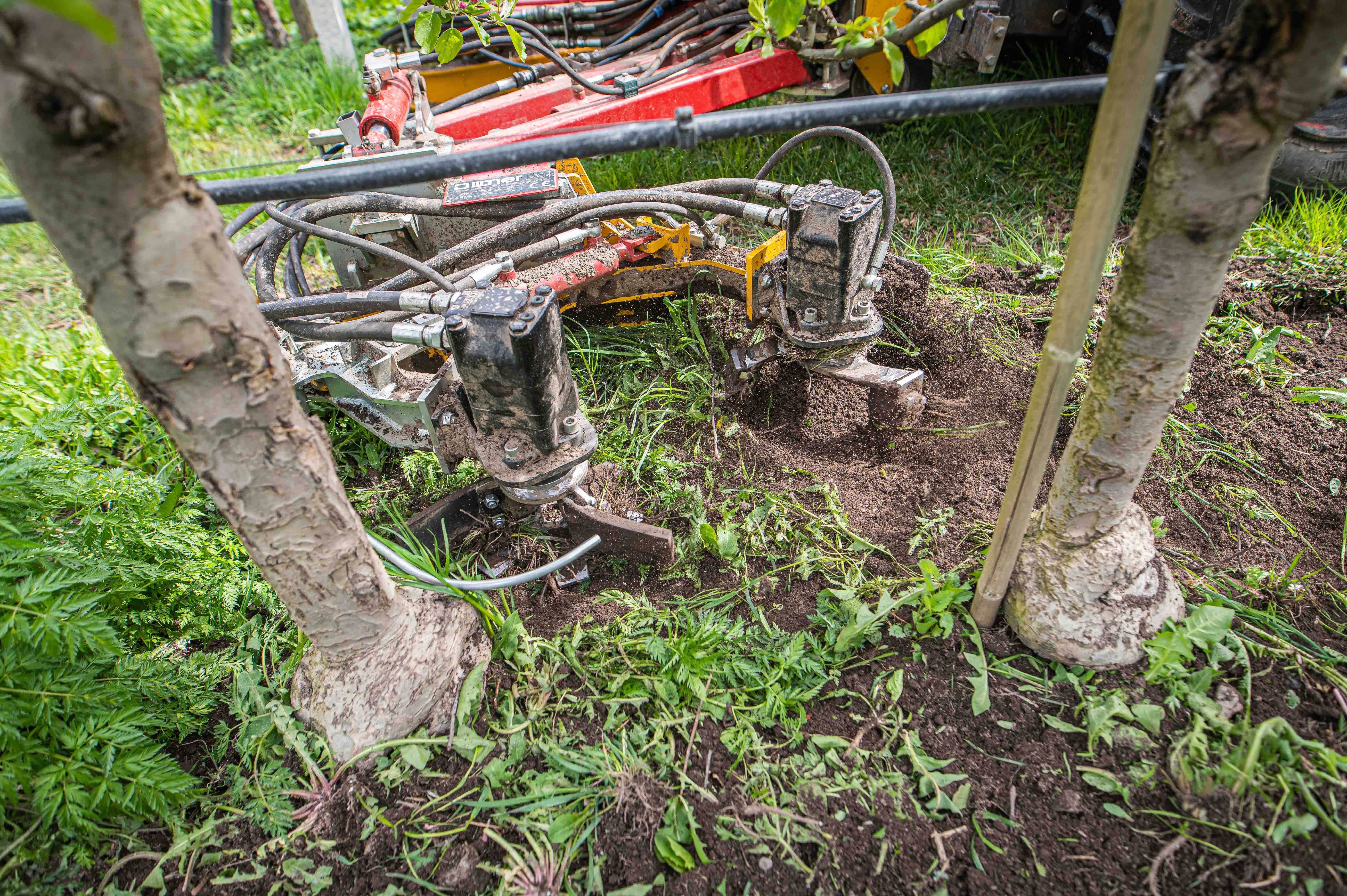 Ilmer Power Harrow for vineyard cultivation