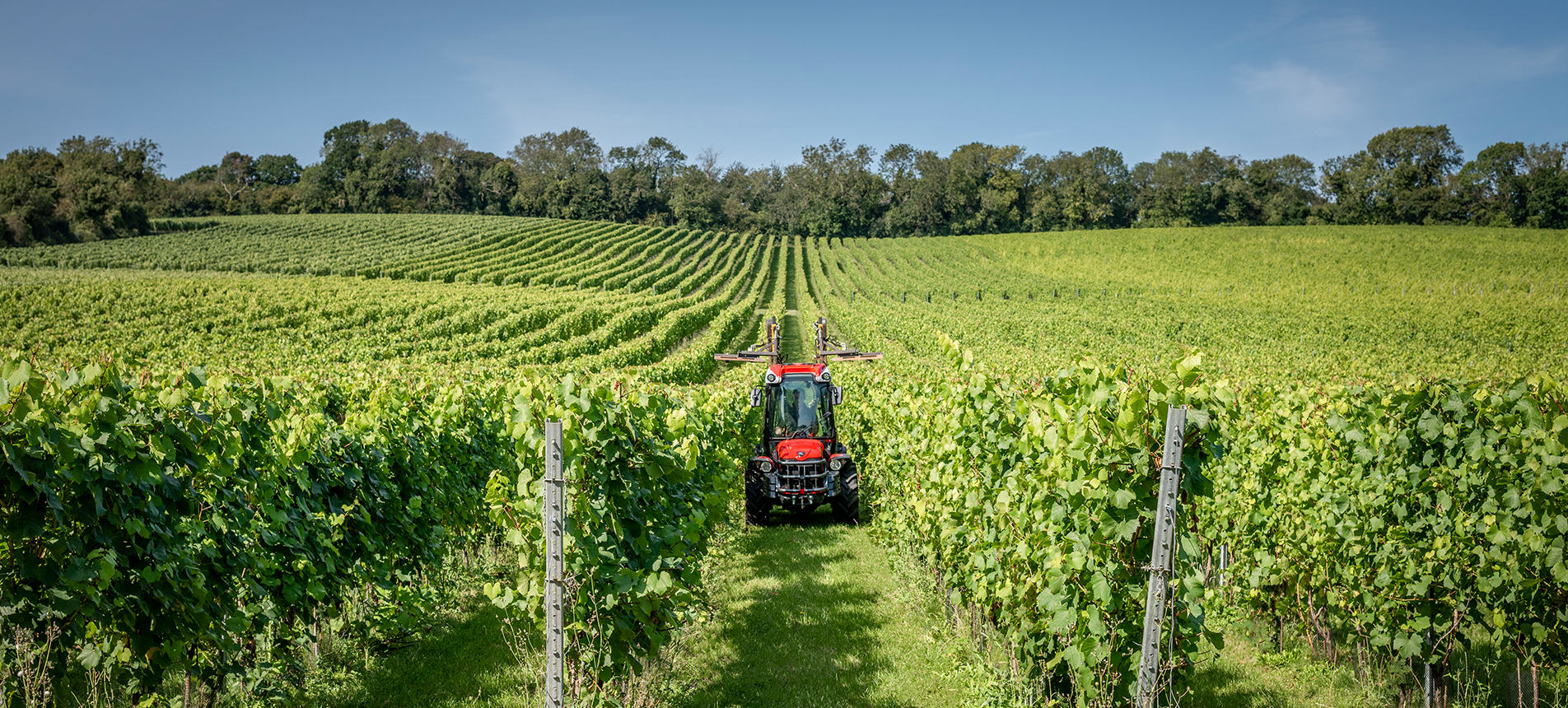 Orizzonti Vineyard Pruning Machine