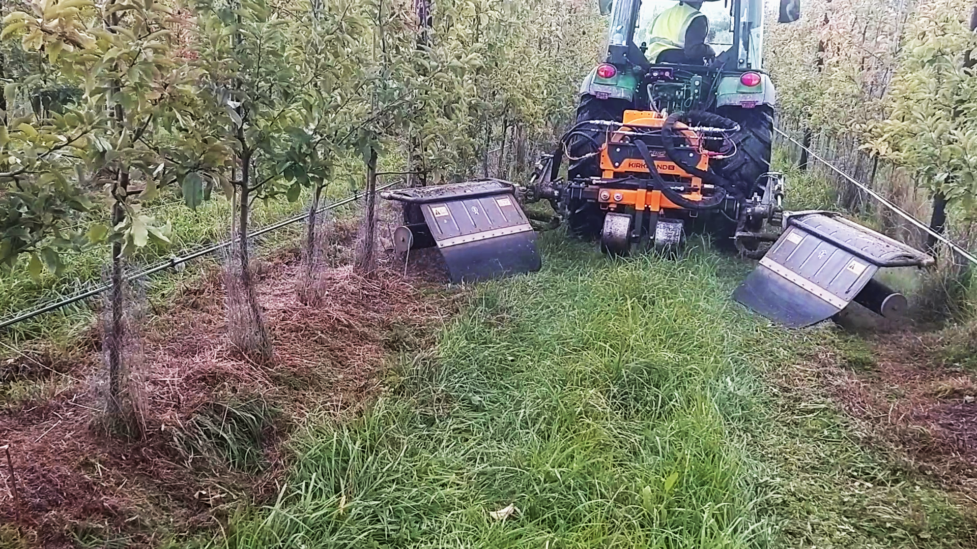 Cultivating Strimmer with rabbit guards