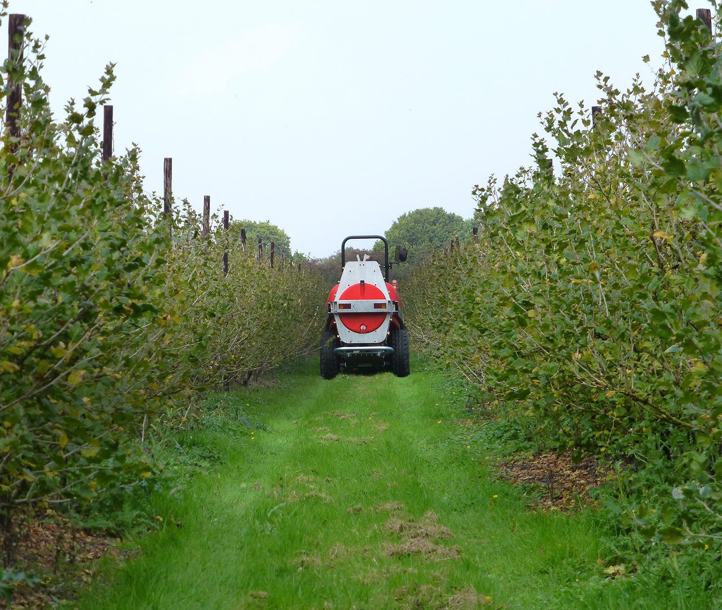 Orvin Baby Compact Sprayer