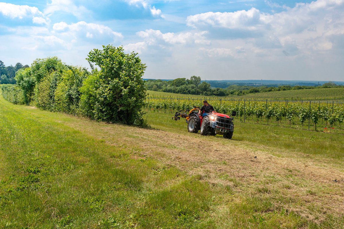 Tractor beside vines