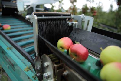 Tecnofruit Harvesting Machine Kirkland