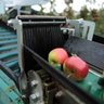 Tecnofruit Harvesting Machine Kirkland