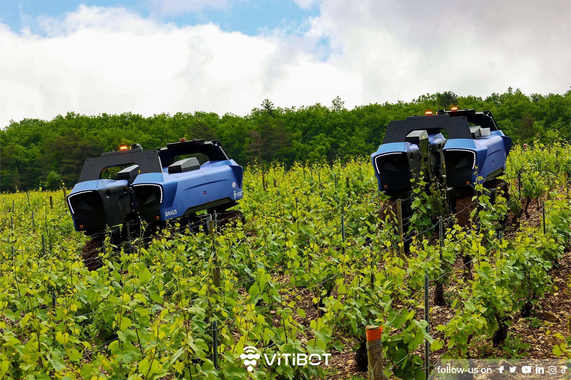Vitibot Bakus P75S Vineyard Robot Kirkland UK 
