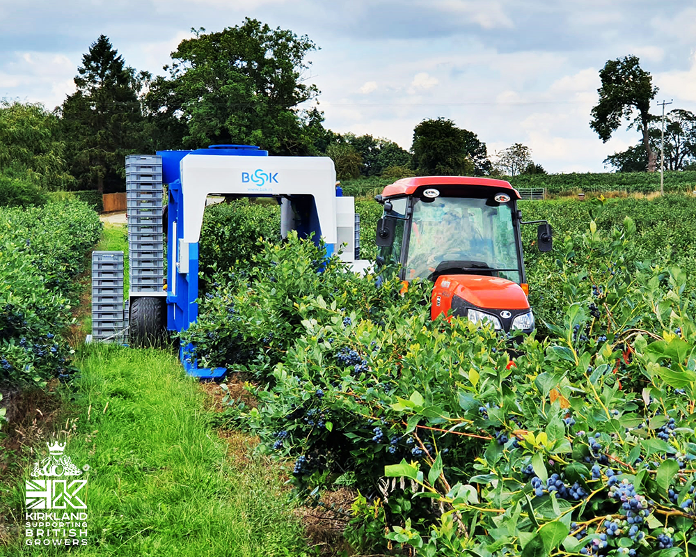 BSK Berry Harvester imported by Kirkland UK