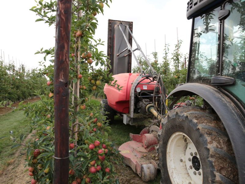 Kirkland Tower Quatt Sprayer