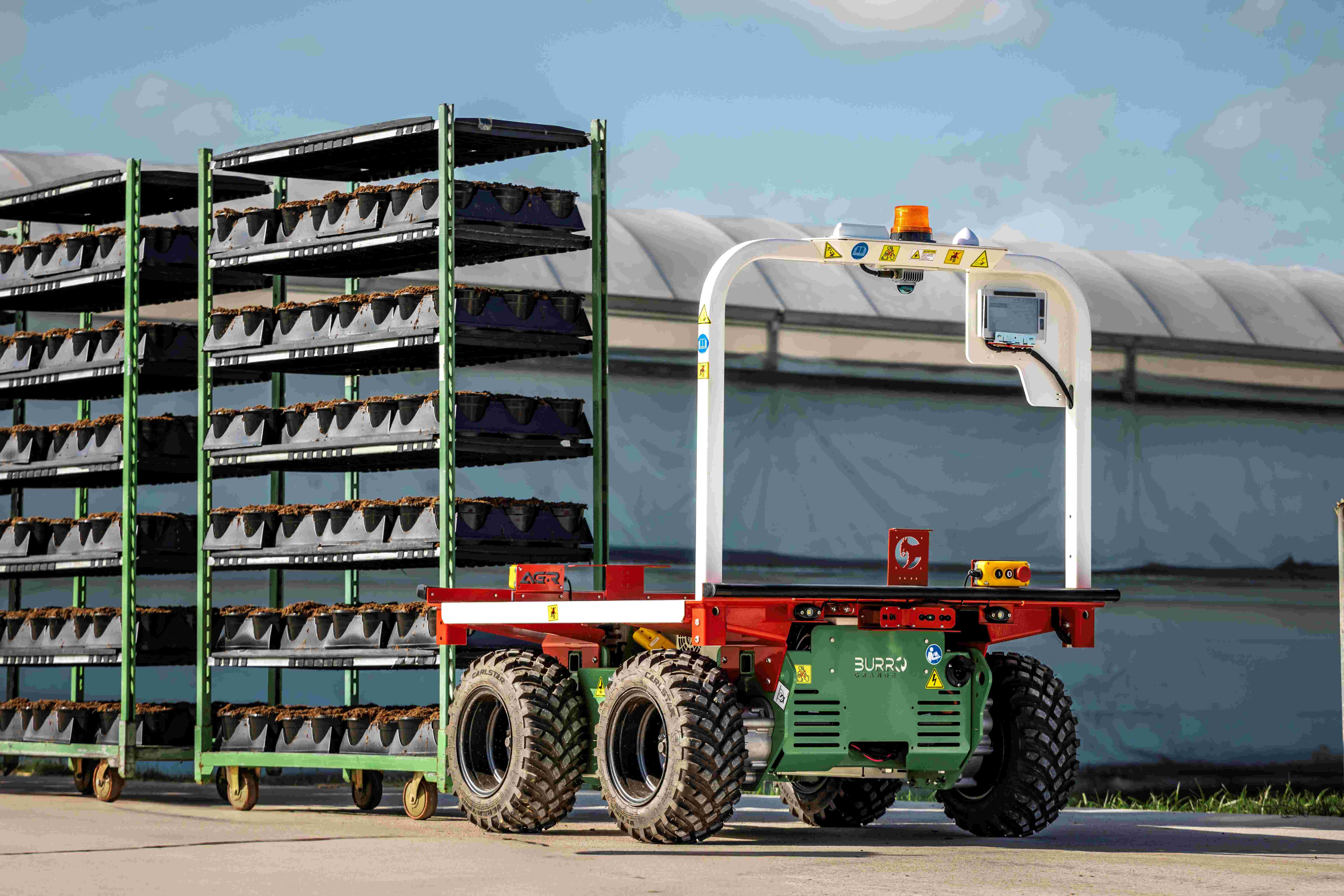 BURRO Grande imported by Kirkland UK 