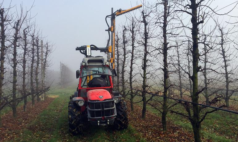 Orizzonti Orchard Pruner - Fruit