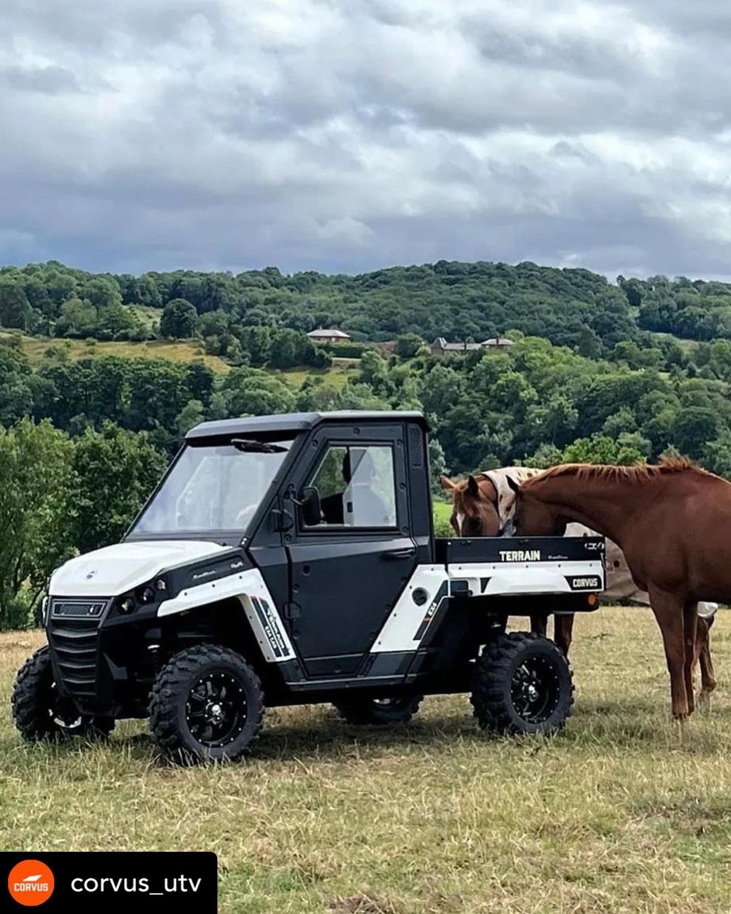 100% Electric CORVUS!