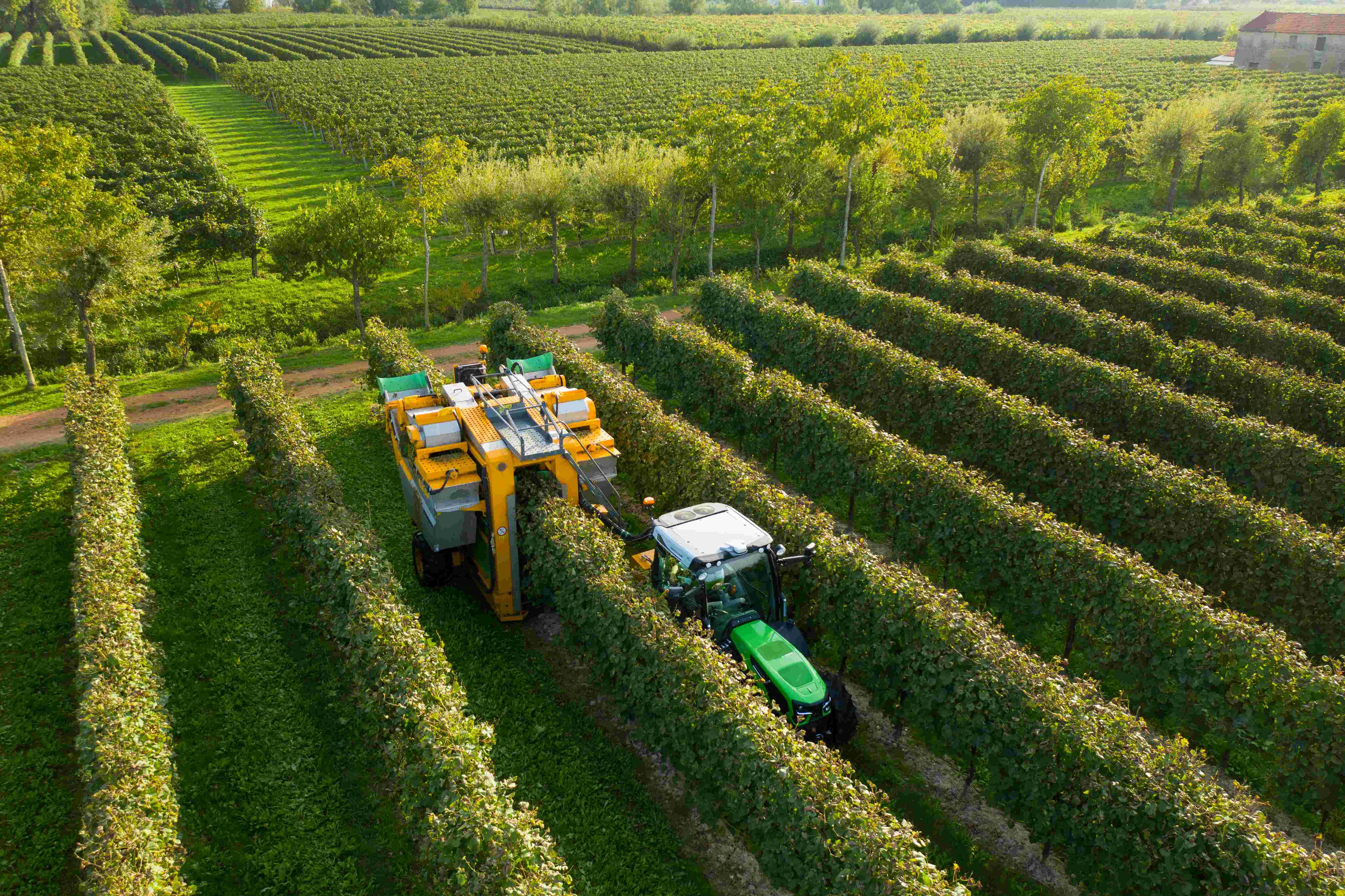 Deutz-Fahr Specialist Fruit Tractors