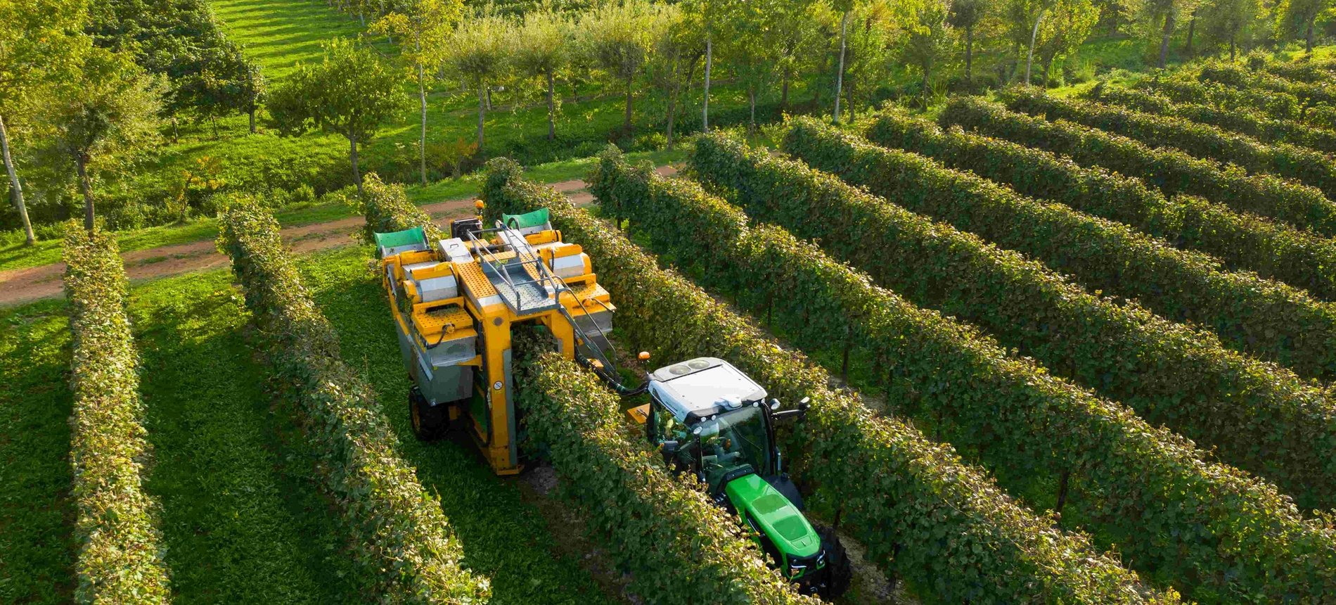 DEUTZ-FAHR 5 DF TTV Specialist Tractor