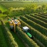 DV TTV Deutz Narrow Vineyard Tractor
