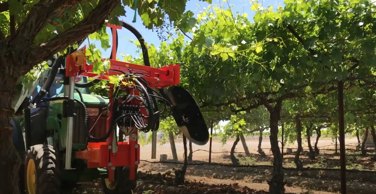 Leaf Remover for UK Vineyards