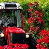 Antonio Carraro TRX 7800 S Tractor