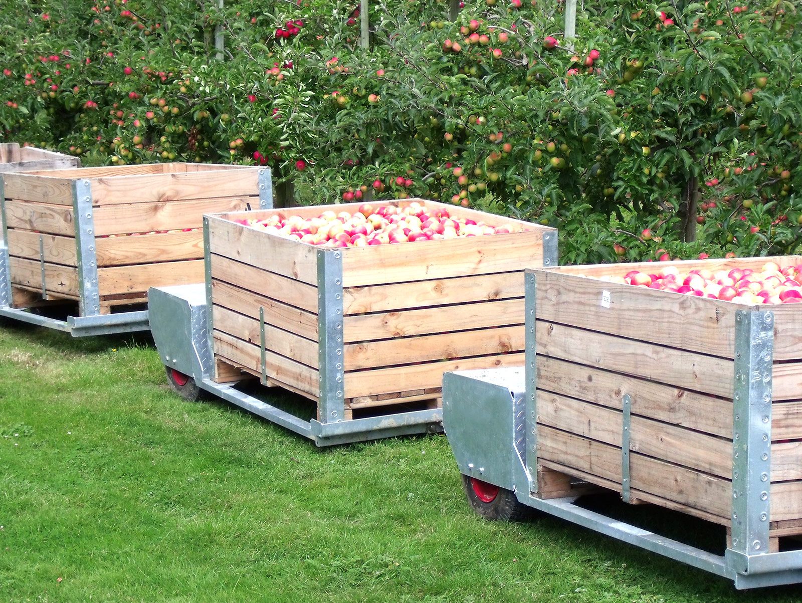 Orvin Galvanised 2 Wheel Picking Train