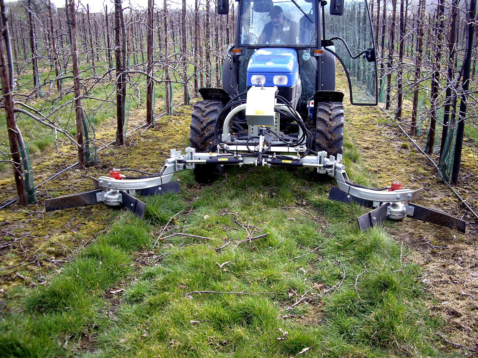 Kirkland Pruning Sweep