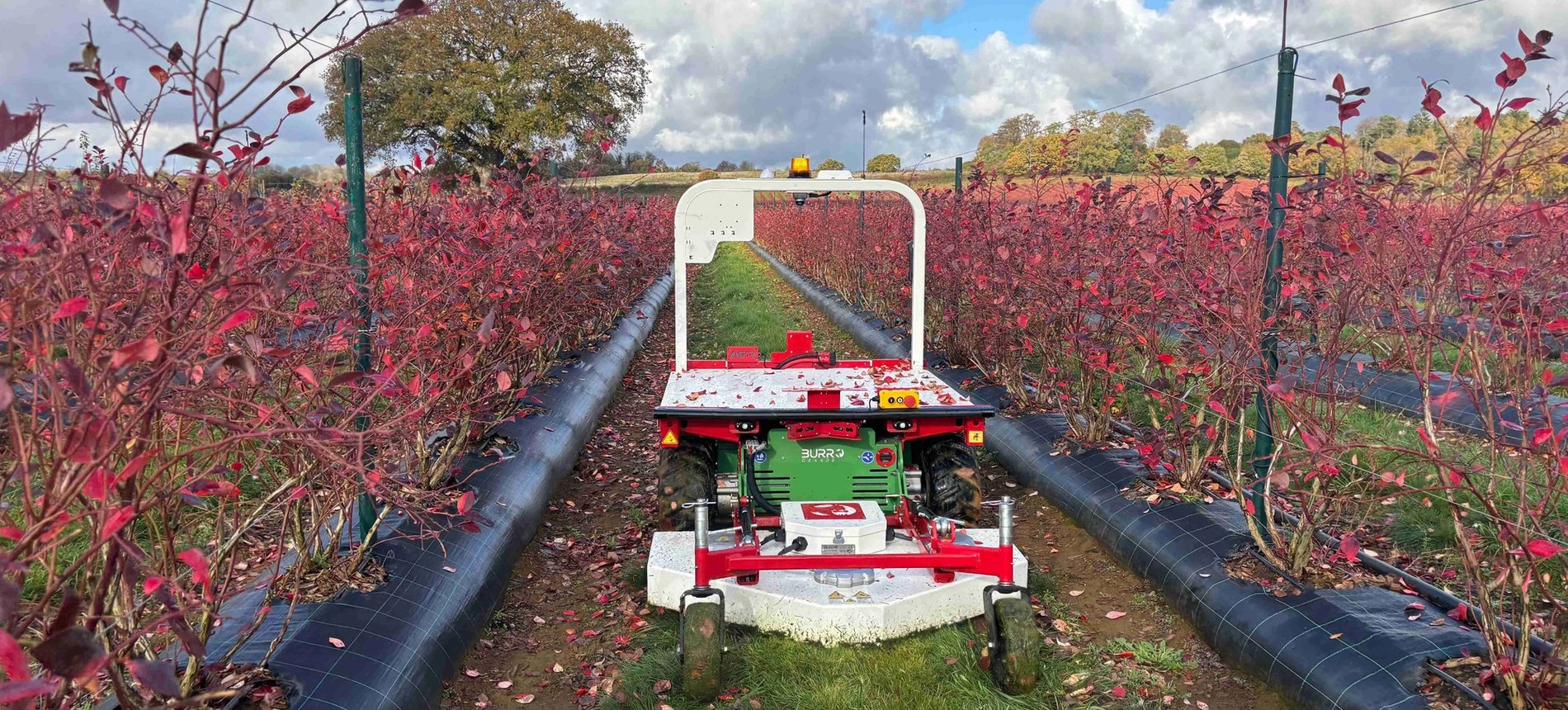 FETF Government Grants Available!