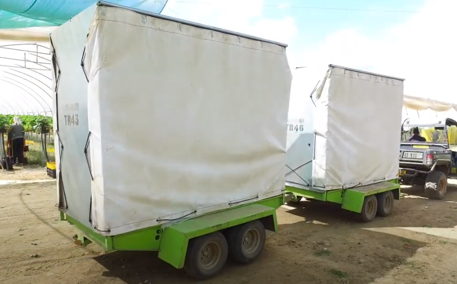 Orvin Harvest Trailers