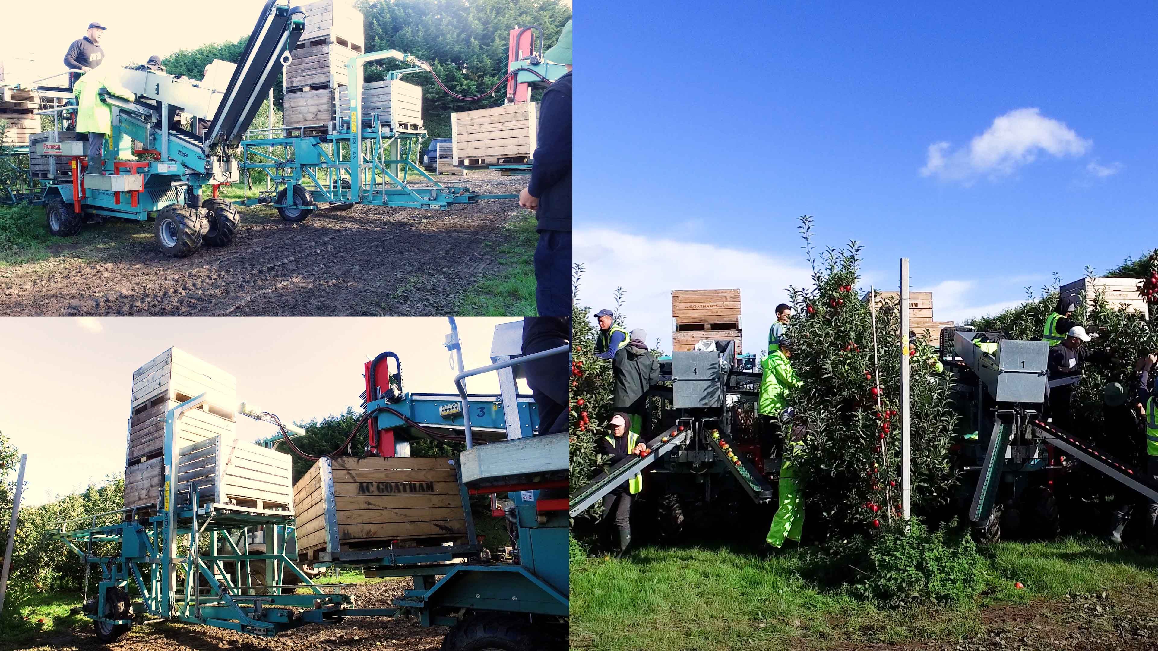 20 Tecnofruit Orchard Harvesters at UK Fruit Grower AC Goathams!