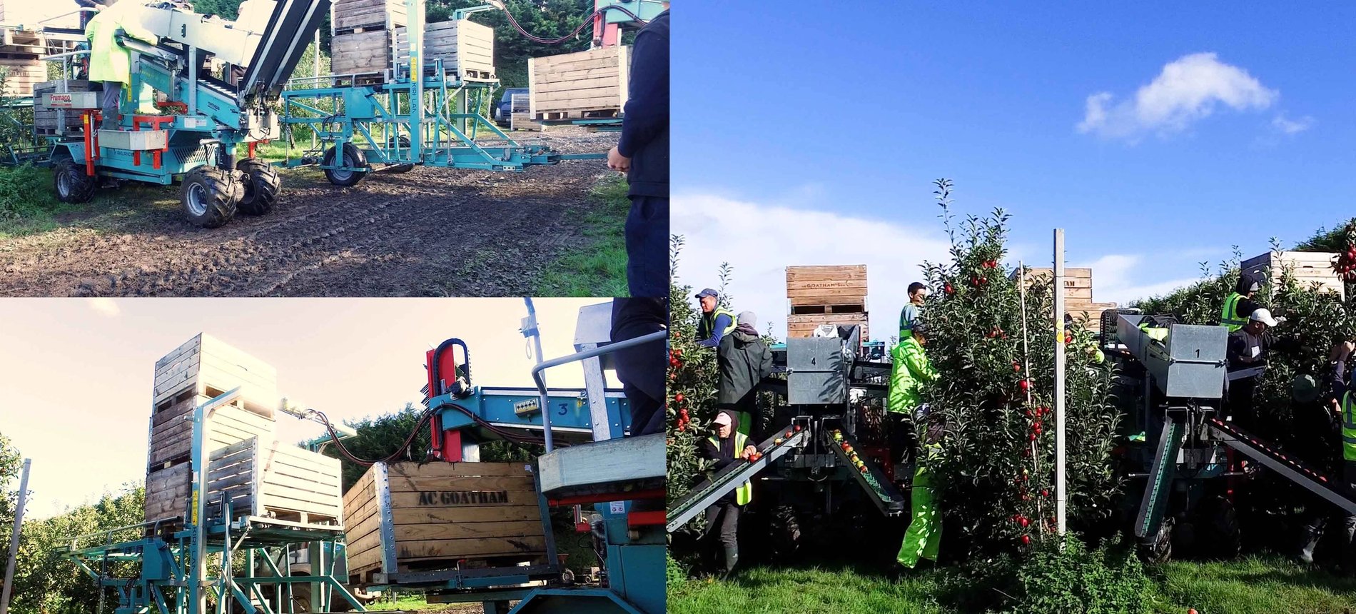 20 Tecnofruit Orchard Harvesters at UK Fruit Grower AC Goathams!