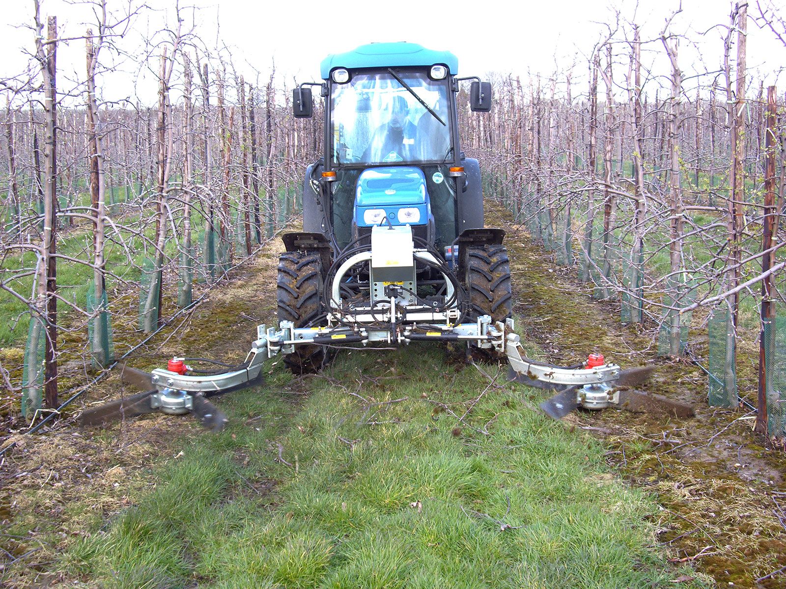 Kirkland Pruning Sweep