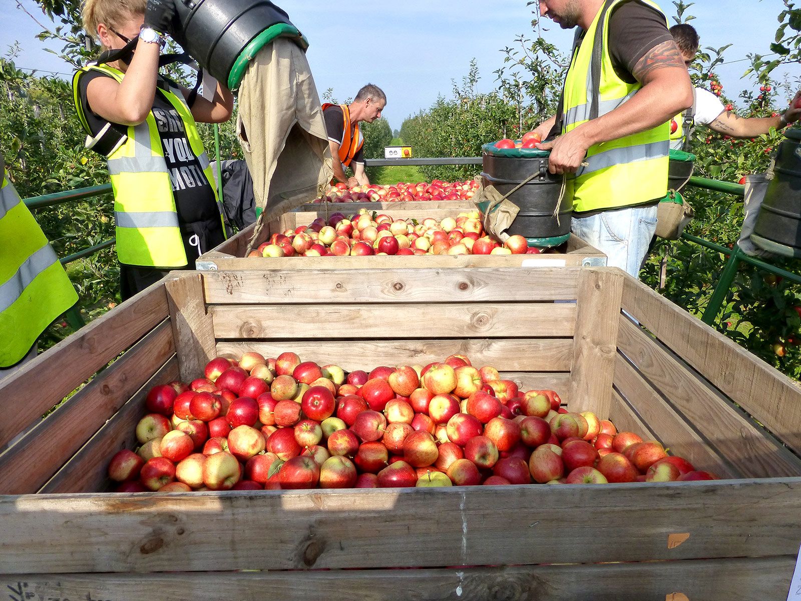 Orvin 3 Bin Trailed Platform - Twin Axle