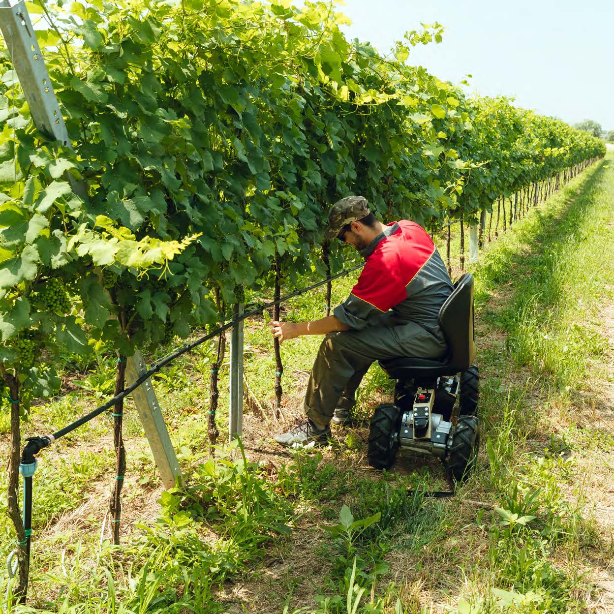 Rocky Chair Kirkland UK