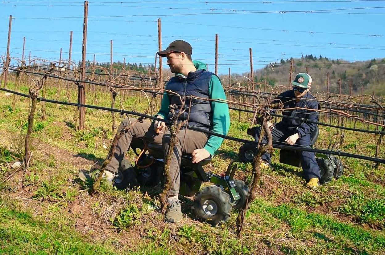 Rocky Electric Chair for Vineyards