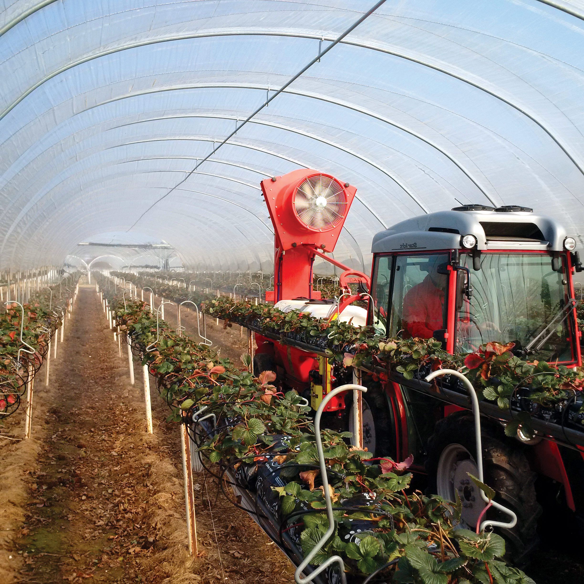 Kirkland Tunnel Sprayer