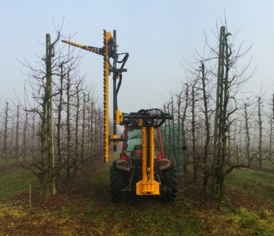 Orchard Pruner Orizzonti