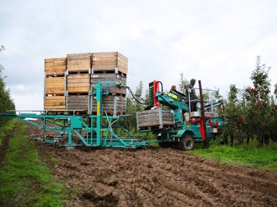 Auxiliary Bin Trailers for Tecnofruit Harvester