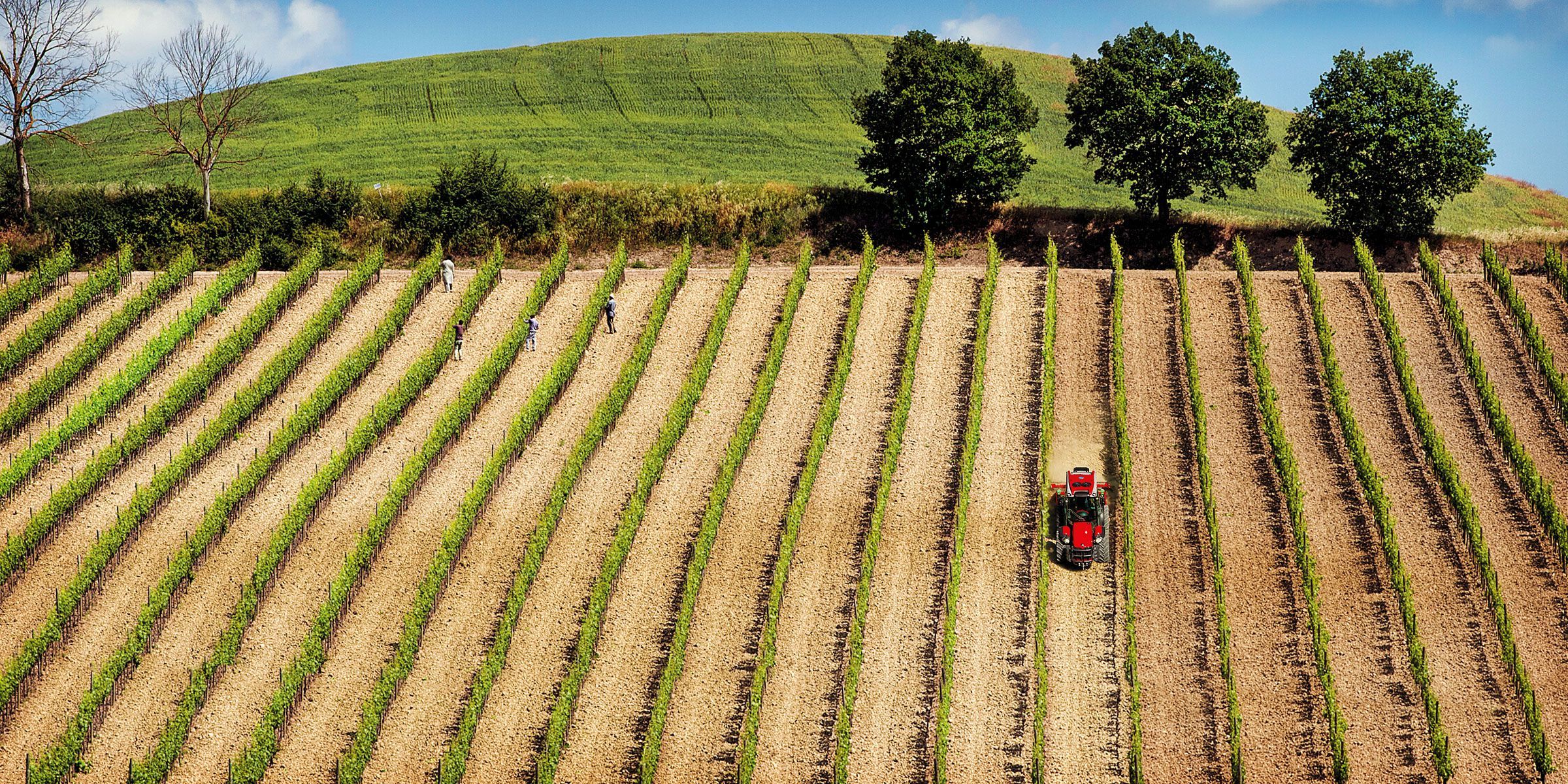 Antonio Carraro TRX 8900 Tractor